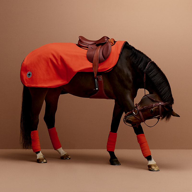 Hamptons exercise rug - Brown | Hermès USA